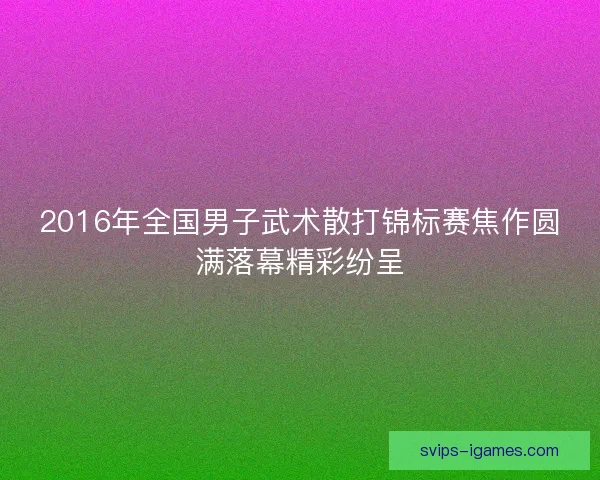 2016年全国男子武术散打锦标赛焦作圆满落幕精彩纷呈